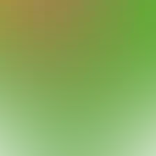 blurhash of the original image