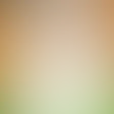 blurhash of the original image