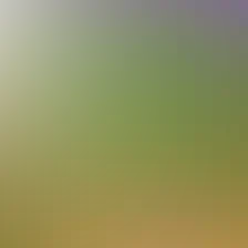 blurhash of the original image