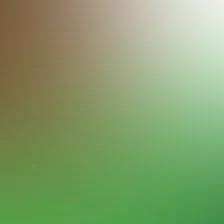 blurhash of the original image