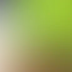 blurhash of the original image