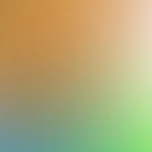 blurhash of the original image