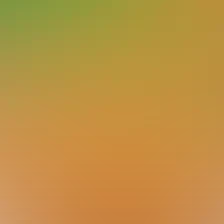 blurhash of the original image