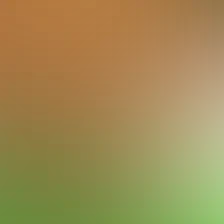 blurhash of the original image