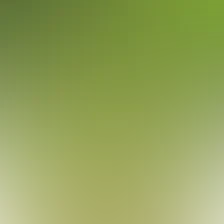 blurhash of the original image