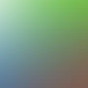blurhash of the original image