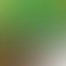 blurhash of the original image