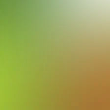 blurhash of the original image