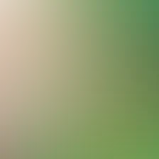 blurhash of the original image