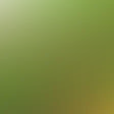 blurhash of the original image