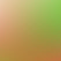 blurhash of the original image