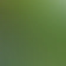 blurhash of the original image