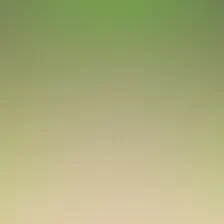 blurhash of the original image