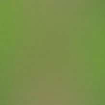 blurhash of the original image