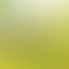 blurhash of the original image