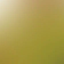 blurhash of the original image