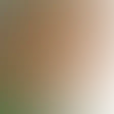 blurhash of the original image