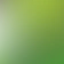 blurhash of the original image