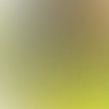 blurhash of the original image