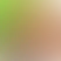 blurhash of the original image