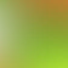 blurhash of the original image