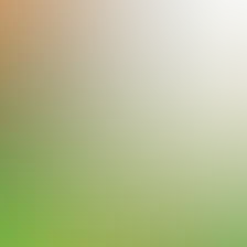 blurhash of the original image