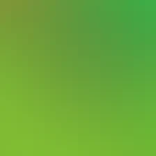 blurhash of the original image