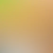 blurhash of the original image