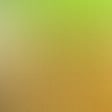 blurhash of the original image