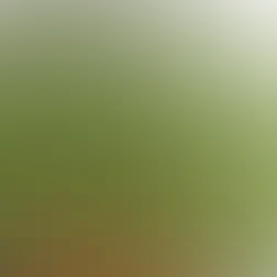 blurhash of the original image