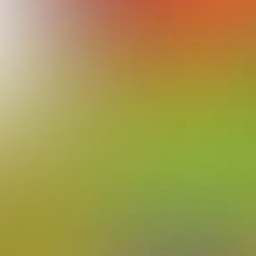 blurhash of the original image