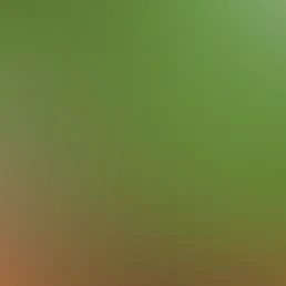 blurhash of the original image