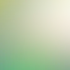 blurhash of the original image