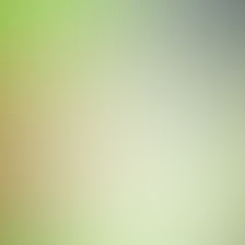 blurhash of the original image