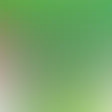 blurhash of the original image