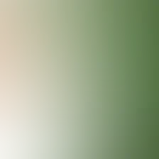 blurhash of the original image