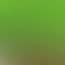 blurhash of the original image