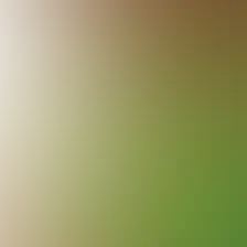 blurhash of the original image