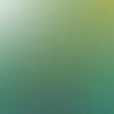 blurhash of the original image