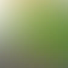 blurhash of the original image