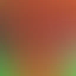 blurhash of the original image