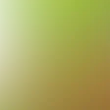 blurhash of the original image