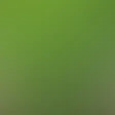 blurhash of the original image