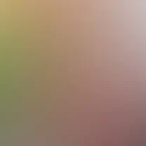 blurhash of the original image