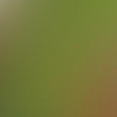 blurhash of the original image