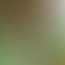 blurhash of the original image