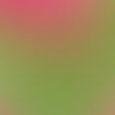 blurhash of the original image