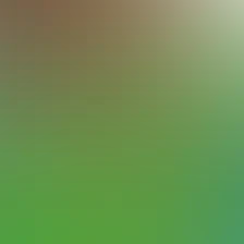 blurhash of the original image