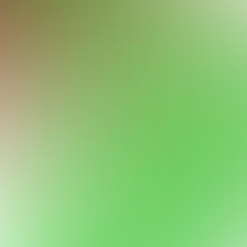 blurhash of the original image