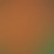 blurhash of the original image